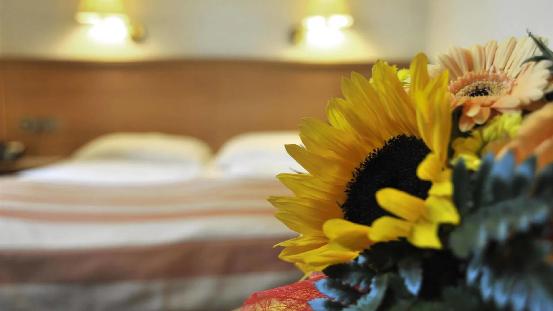 ***  Hotel Central Molitor Luxembourg Luxembourg
